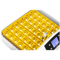 Automaattinen hautomakone IN-32DDI, 42 munaa, LCD-näyttö, 90 W