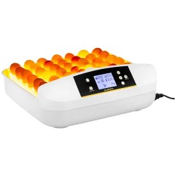 Automaattinen hautomakone IN-32DDI, 42 munaa, LCD-näyttö, 90 W