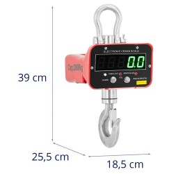 Steinberg Systems Nosturivaaka 2000 kg / 1 kg LED kaukosäätimellä