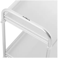 Steinberg Systems laboratorivaunu ruostumaton teräs 2 hyllyä 63 x 40 x 12,5 cm