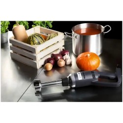 Royal Catering RCSM-350-250 sauvasekoitin 350 W 250 mm