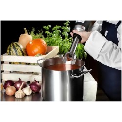 Royal Catering RCSM-350-250 sauvasekoitin 350 W 250 mm
