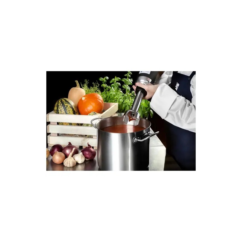 Royal Catering RCSM-350-250 sauvasekoitin 350 W 250 mm