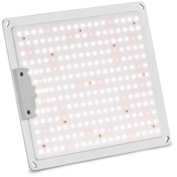 LED kasvilamppu HT WEDGE 1000GL 110 W 10 000 lm täysikirjo