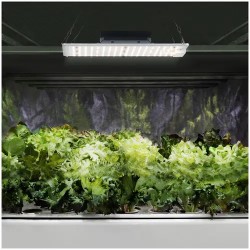 LED-kasvilamppu HT-WEDGE-1000GL 110 W 10 000 lm täysikirjo
