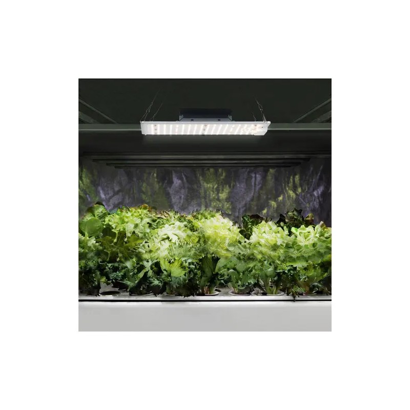 LED-kasvilamppu HT-WEDGE-1000GL 110 W 10 000 lm täysikirjo