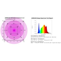 LED-kasvilamppu HT-WEDGE-1000GL 110 W 10 000 lm täysikirjo