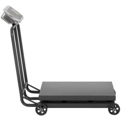 Steinberg Systems SBS-PF-600/100W alustavaaka 600 kg 0,1 kg 60 x 50 cm LED pyörillä