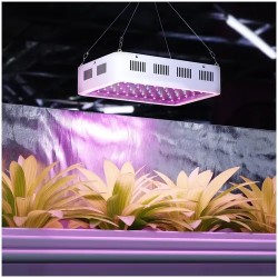 hillvert HT-WEDGE-600 LED-kasvivalaisin 600 W 3 000 lm
