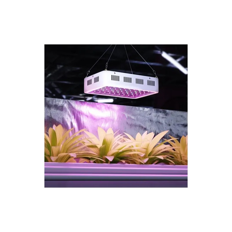 hillvert HT-WEDGE-600 LED-kasvivalaisin 600 W 3 000 lm