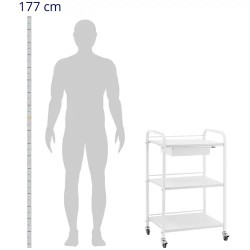 Physa kosmetiikkavaunu, 3 hyllyä ja 1 vetolaatikko, valkoinen, max 80 kg