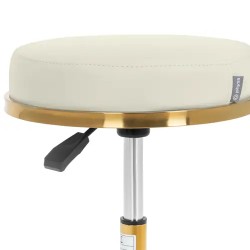 Pyörityötuoli 51-64 cm, 150 kg, beige ja kulta