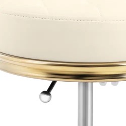 Pyörityöjakkara selkänojalla PHYSA GELA BEIGE, 48-61 cm, 150 kg, beige/kulta