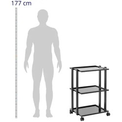 physa Kosmetiikkavaunu 3 lasihyllyä, musta, max. 60 kg