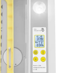 Incubato IN-36DDI automaattinen haudontakone 36 kananmunaa