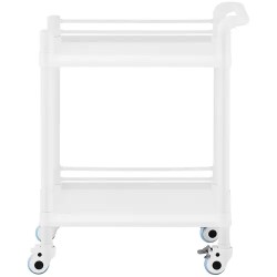 Steinberg Systems laboratorivaunu 2 hyllyä 54 x 38 x 5 cm 20 kg