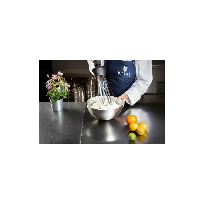 Royal Catering RCSM-500-WP sauvasekoitin 500 W vispilällä