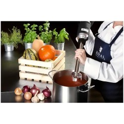 Royal Catering RCSM-350-400P sauvasekoitin 350 W, 400 mm, säädettävä nopeus 6 000–18 000 U/min