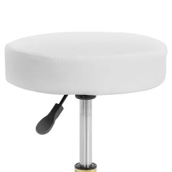 Työjakkara 53-71 cm 150 kg valkoinen/kulta
