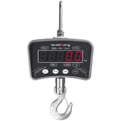 Steinberg Systems SBS-KW-1000/10B kranvaaka 1000 kg / 0,2 kg LED