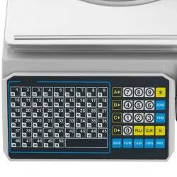 Steinberg Systems Kontrollivaaka 30 kg / 15 g etiketitulostimella 38 x 26,5 cm LCD