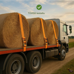 Kuormansidontahihnat 10 kpl, räikkä, 8 m, 5000 kg, 50 mm, polyesteri