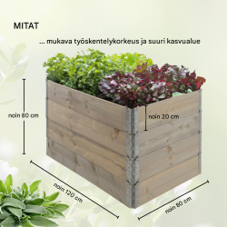 Kasvulava 4 kpl, harmaa havupuu, 120 x 80 x 80 cm, pinottava, 73880