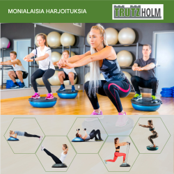 Balance-puolipallo 60 cm, PVC, käsikahvat ja ilmapumppu, sininen, harmaa, lila tai pinkki
