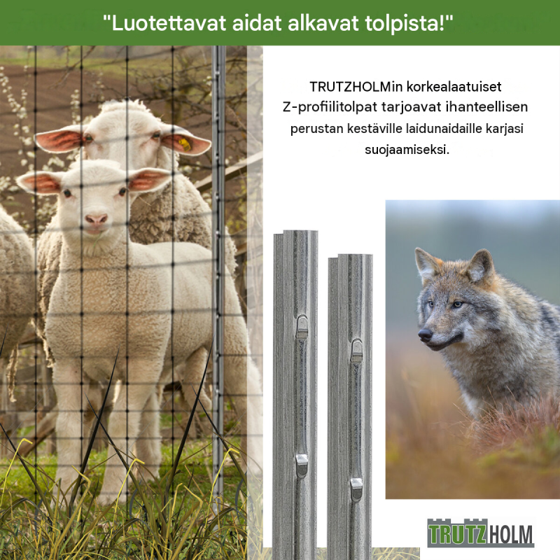Z-profiiliset aidantolpat 10 kpl, sinkitty teräs, 230 cm, 1,5 mm, koukut