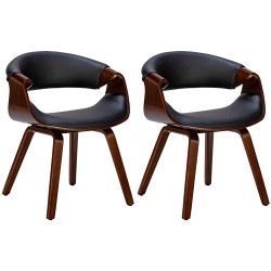 Tyylikäs kahden ruokailutuolin setti käsinojilla ja puisella rungolla