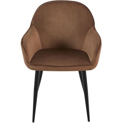 Samettinen Boise-ruokatuoli käsinojilla, 2 kpl, mukava ja tyylikäs