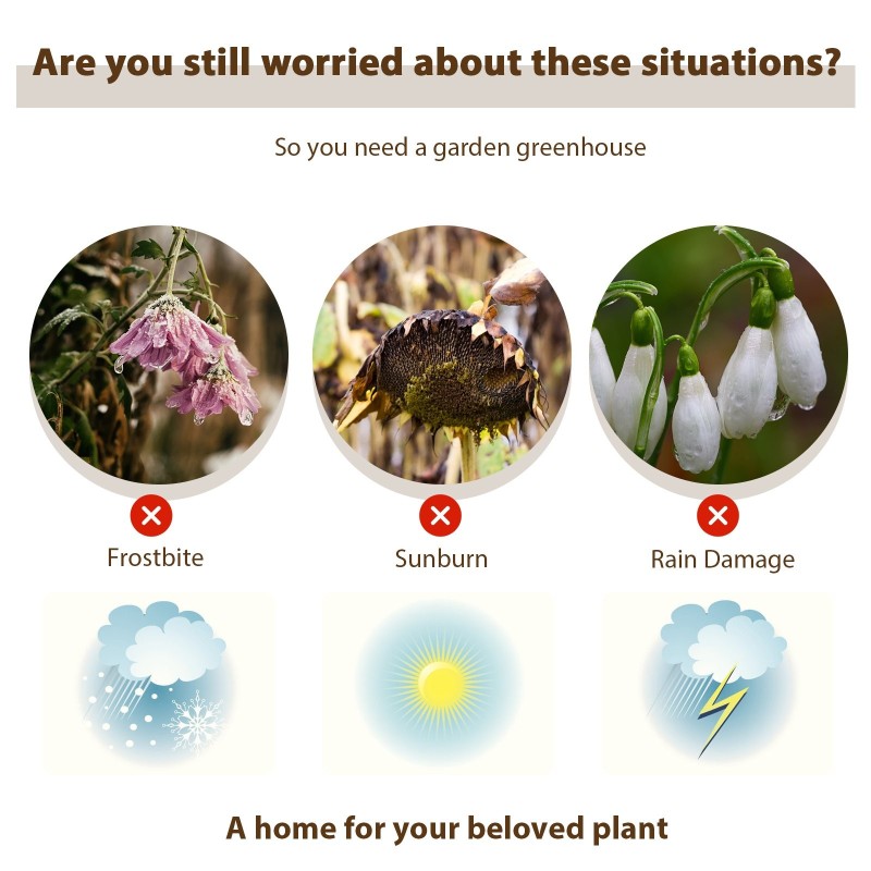 Käveltävä mini kasvihuone 3 tasoa 4 hyllyä läpinäkyvä