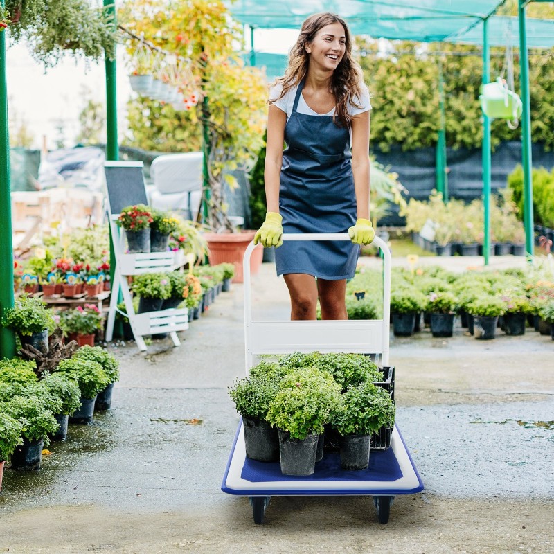 Sinivalkoinen monikäyttöinen plattformwagen 300 kg kantavuus