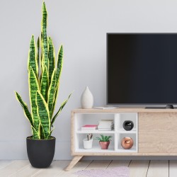 Keinotekoinen käärmeenkasvi ruukussa, 93 cm, keltainen, realistinen