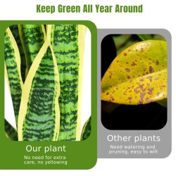 Keinotekoinen käärmeenkasvi ruukussa, 93 cm, keltainen, realistinen