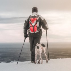 Säädettävät alumiiniset vaellussauvat musta 65-135 cm