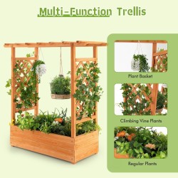 Oranssi puinen istutuslaatikko säleiköllä ja ripustettavalla katolla