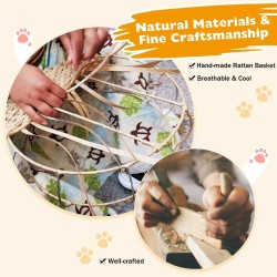 Kissan kiipeilypuu pesällä ja sisalilla, ruskea