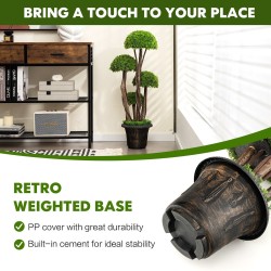 Tekosypressi 90 cm ruukussa, vihreä, sisä- ja ulkokäyttöön