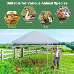 Hopea kuusikulmainen metallinen kanakoppi lukittavalla ovella