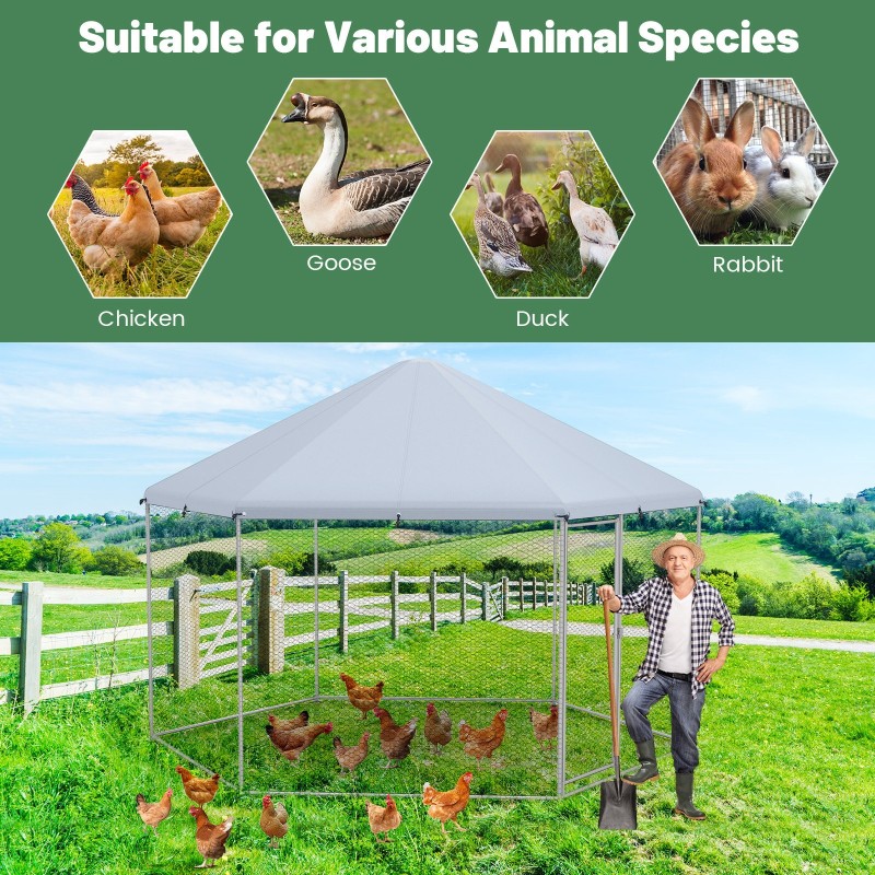 Hopea kuusikulmainen metallinen kanakoppi lukittavalla ovella