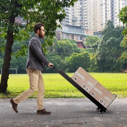 Kokoontaitettava 2-in-1 käsikärry ja tikkaat, musta