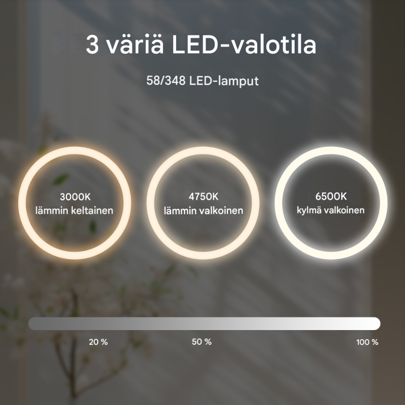 Pyöreä hopeinen LED-peili huurteenestolla ja säädettävällä valolla