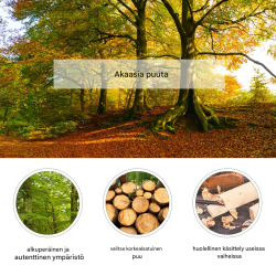 Kenkäpenkki akasiapuusta, säilytystilalla ja istuimella, ruskea