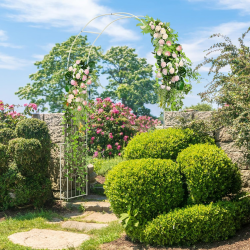 Valkoinen metallinen puutarhakaari köynnöskasveille ja ruusuille