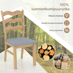 Kaksi puutuolia setti luonnollinen kumipuu ja pehmustettu istuin