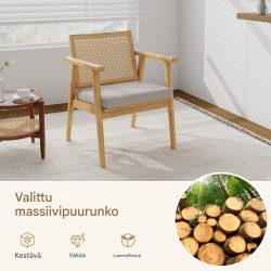 Kaksi rottinkituolia irrotettavalla tyynyllä, luonnonväri