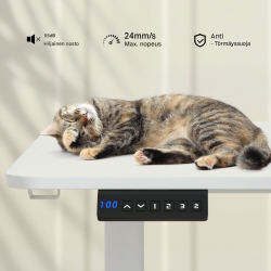 Säädettävä sähköpöytä 140x60 cm valkoinen ergonominen työpöytä