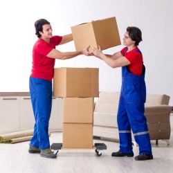 Luonnollinen puinen kuljetusvaunu 450 kg kantavuudella