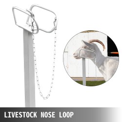 Eläinjalusta pulverimaalattu rautarunko 51x23 tuumaa säädettävä korkeus kuonolenkillä vuohille ja lampaille